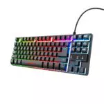 Trust Gaming GXT 833 Thado TKL Tastatur mit LED, Anti-Ghosting & QWERTZ Layout