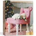 UMBRELLA Hunde Adventskalender 2025 – Natürlicher Weihnachtskalender für Hunde