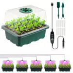 Mini Gewächshaus mit erhöhtem Deckel und Pflanzenlichter – Starter-Set für Zimmer