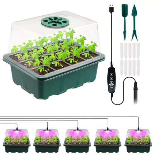 Mini Gewächshaus mit erhöhtem Deckel und Pflanzenlichter – Starter-Set für Zimmer