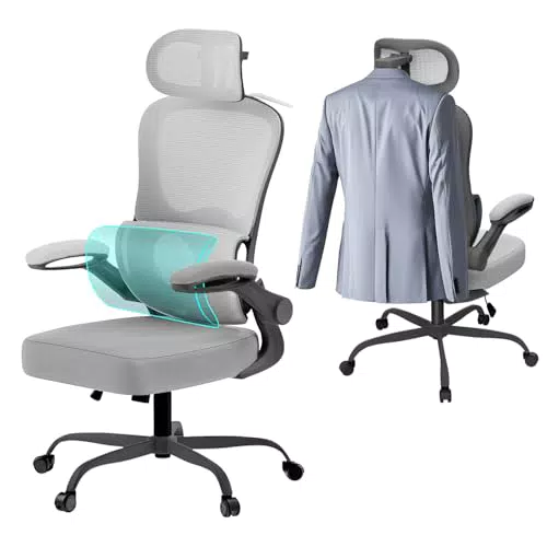 Aevoriax Ergonomischer Bürostuhl mit verstellbarer Kopfstütze und Lendenstütze