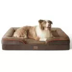 Bedsure orthopädisches Hundebett Ergonomisches Hundesofa - 71x58 cm Hundecouch mit eierförmiger Kistenschaum für kleine Hunde