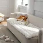 COZY KISS Sofabezug für Hunde und Katzen – Waschbare, rutschfeste Schutzhülle