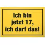 DankeDir Geburtstagsschild 17 Jahre – Geschenkidee Junge Mädchen Partydeko