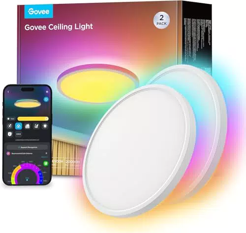 Govee RGBIC Smart Deckenleuchte dimmbar mit Alexa und Google Assistant