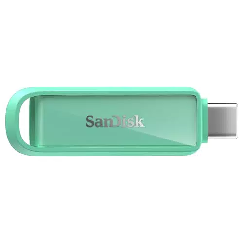 SanDisk USB Type-C 1TB Flash-Laufwerk für Smartphone, Tablet und Computer