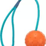Trixie 3305 Ball am Seil für Hunde – Naturgummi Spielzeug zum Apportieren