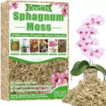 ZeeDix Sphagnum Moos – Natürliches Torfmoos für Pflanzen, Orchideen & Sukkulenten