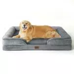 Bedsure orthopädisches Hundebett Ergonomisches Hundesofa - 71x58 cm Hundecouch mit eierförmiger Kistenschaum für kleine Hunde