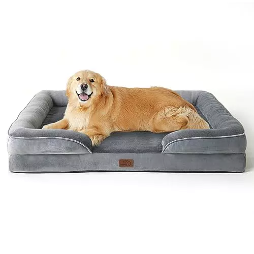 Bedsure orthopädisches Hundebett Ergonomisches Hundesofa - 71x58 cm Hundecouch mit eierförmiger Kistenschaum für kleine Hunde