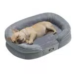 Feandrea Orthopädisches Hundebett mit Abnehmbarem Bezug und Rutschfestem Boden