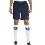 PUMA Herren Teamrise Trainingsshorts & T-Shirt