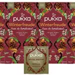 Pukka Winterfreude Bio Kräutertee Ingwer Zimt Nelken Orange Limited Edition