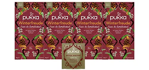 Pukka Winterfreude Bio Kräutertee Ingwer Zimt Nelken Orange Limited Edition