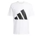 Adidas Herren Essentials Big Logo Single Jersey T-Shirt