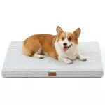 Cozy Kiss Orthopädisches Hundebett Große Hunde Waschbar Wasserdicht Rutschfest