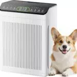 Evalit Luftreiniger Allergiker CADR 420m³/h Air Purifier gegen Rauch, Staub, Pollen