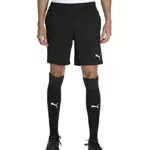 PUMA Herren Teamrise Trainingsshorts & T-Shirt