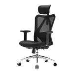 SIHOO Ergonomischer Bürostuhl mit Verstellbarer Lordosenstütze und Kopfstütze