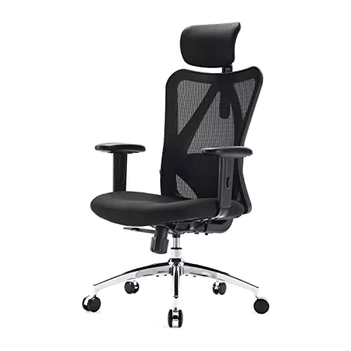 SIHOO Ergonomischer Bürostuhl mit Verstellbarer Lordosenstütze und Kopfstütze