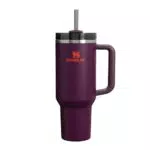 Stanley Quencher H2.0 Flowstate Thermosflasche mit Strohhalm, BPA-frei, Edelstahl