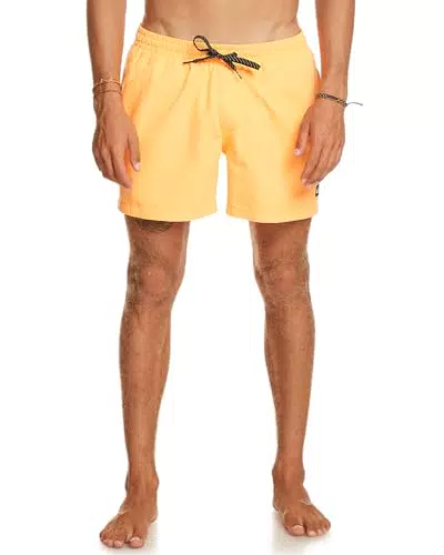 Element Quiksilver Everyday 15" - Schwimmshorts für Männer