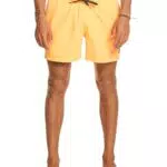 Element Quiksilver Everyday 15 - Schwimmshorts für Männer
